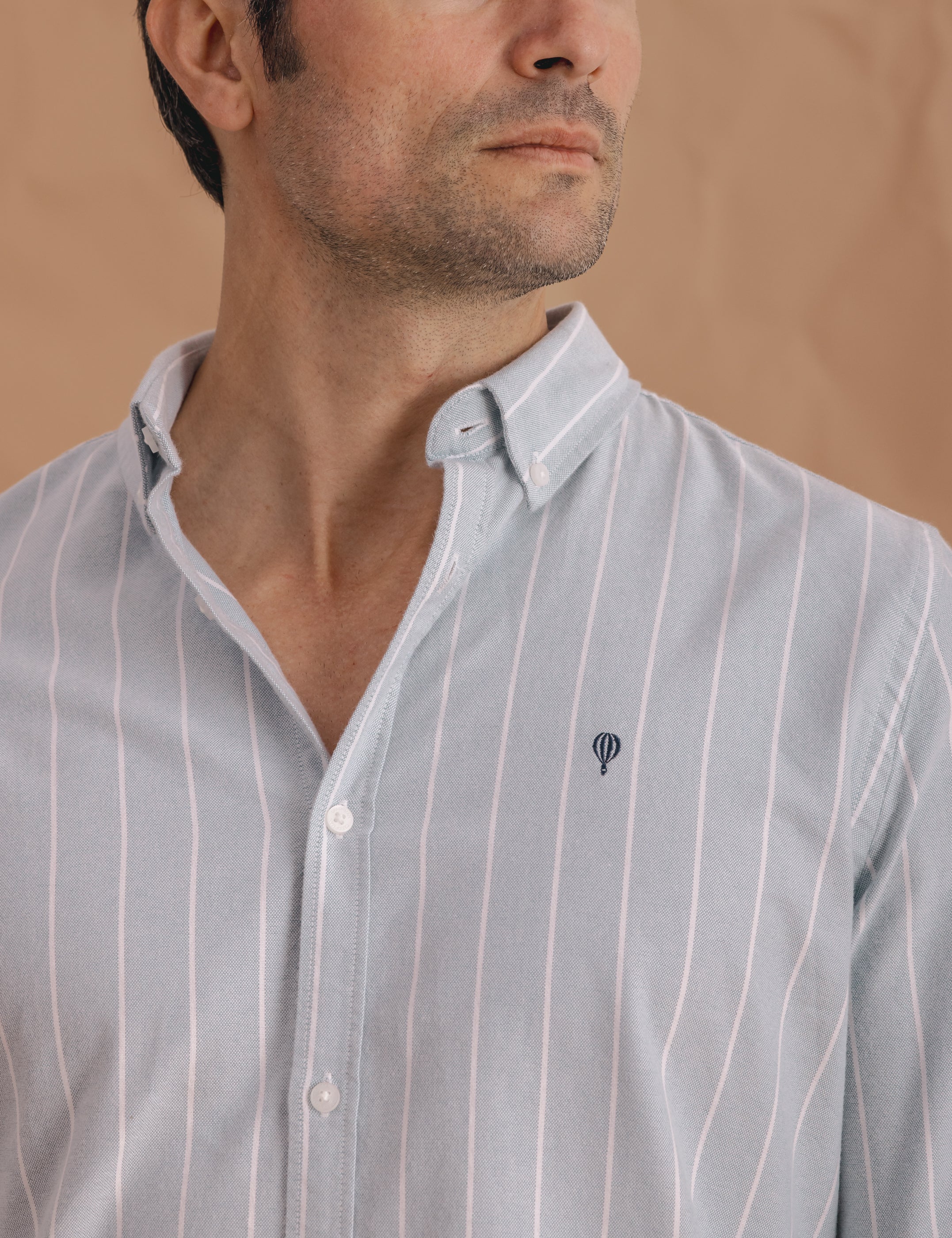 CAMISA RAYA DIPLOMÁTICA OXFORD