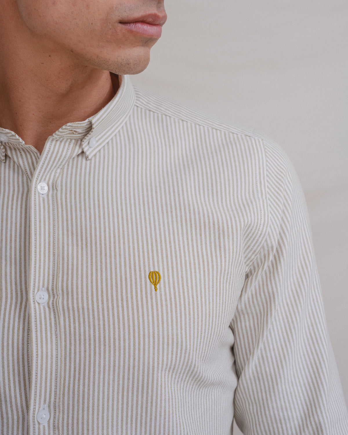 CAMISA OXFORD LISTRADA VERDE