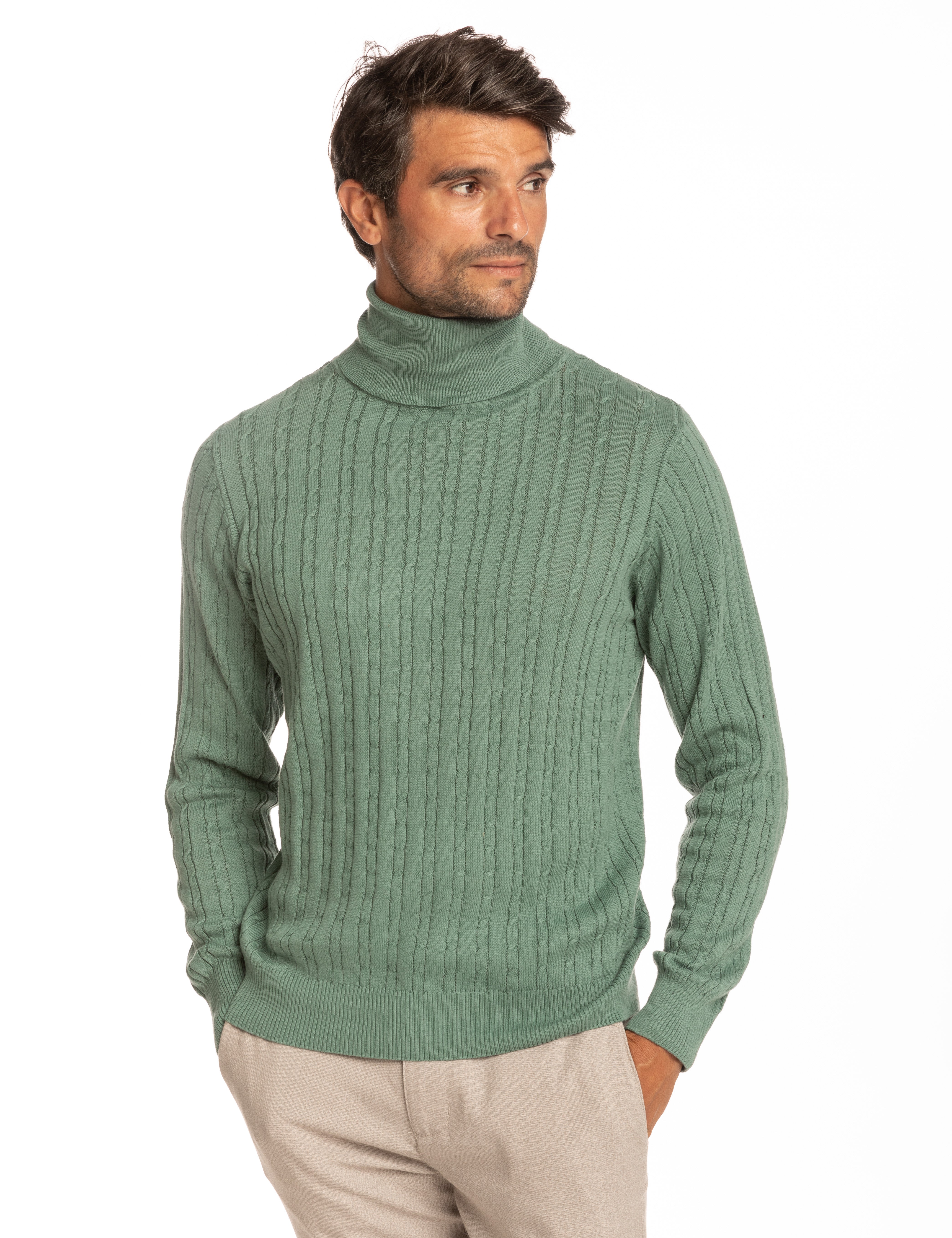 JERSEY CUELLO CISNE OCHOS VERDE