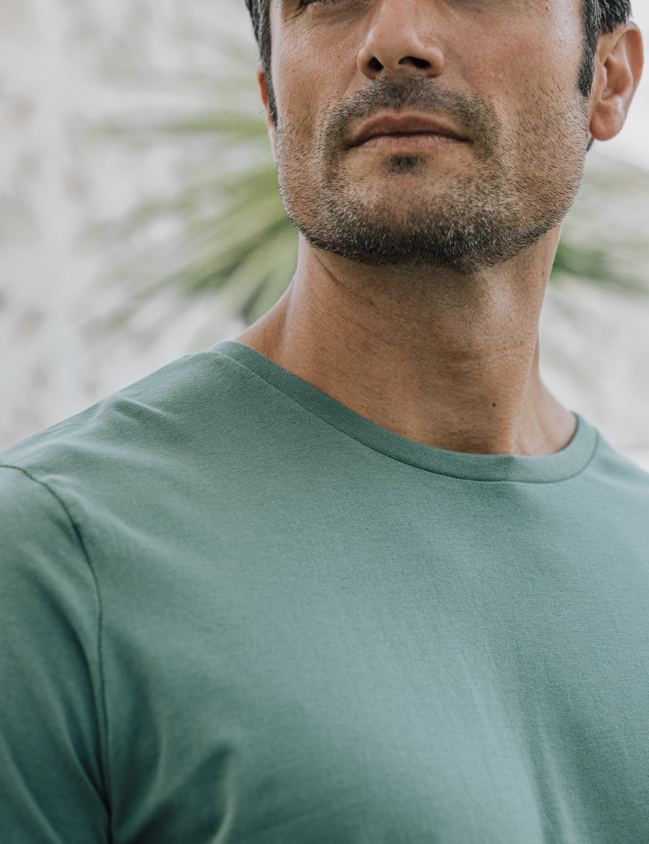 CAMISETA BÁSICA VERDE MANZANA