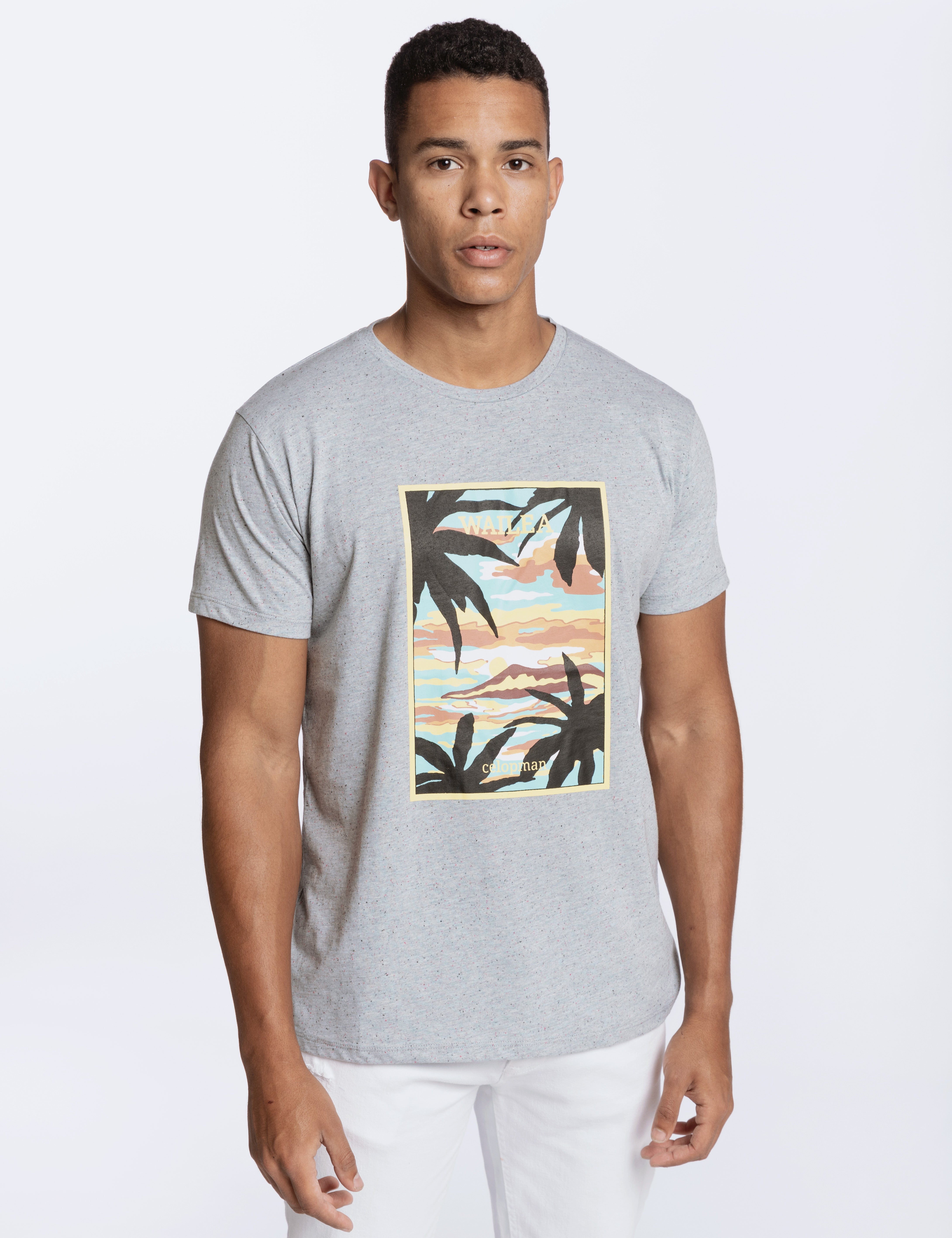 CAMISETA BÁSICA ESTAMPADO