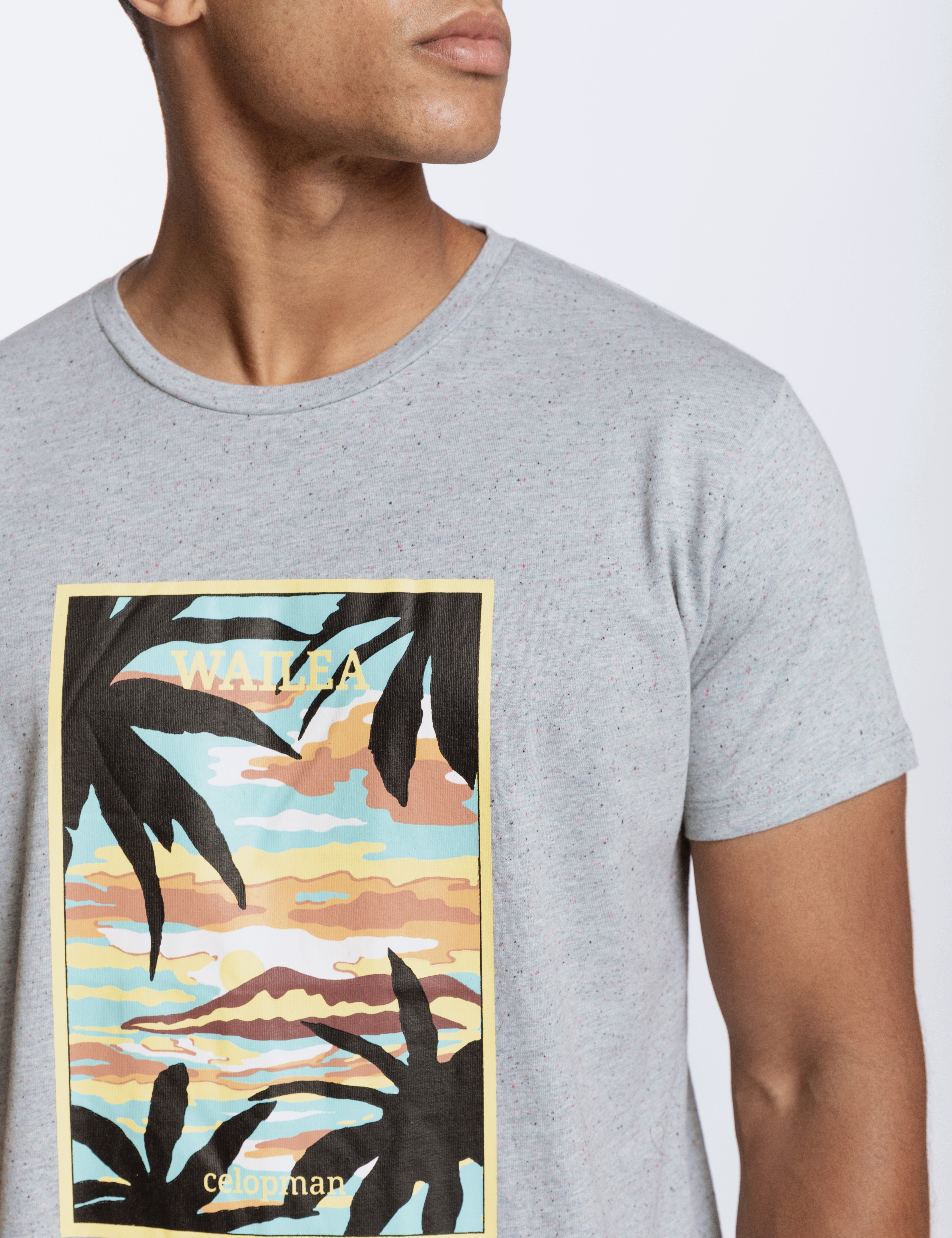 CAMISETA BÁSICA ESTAMPADO