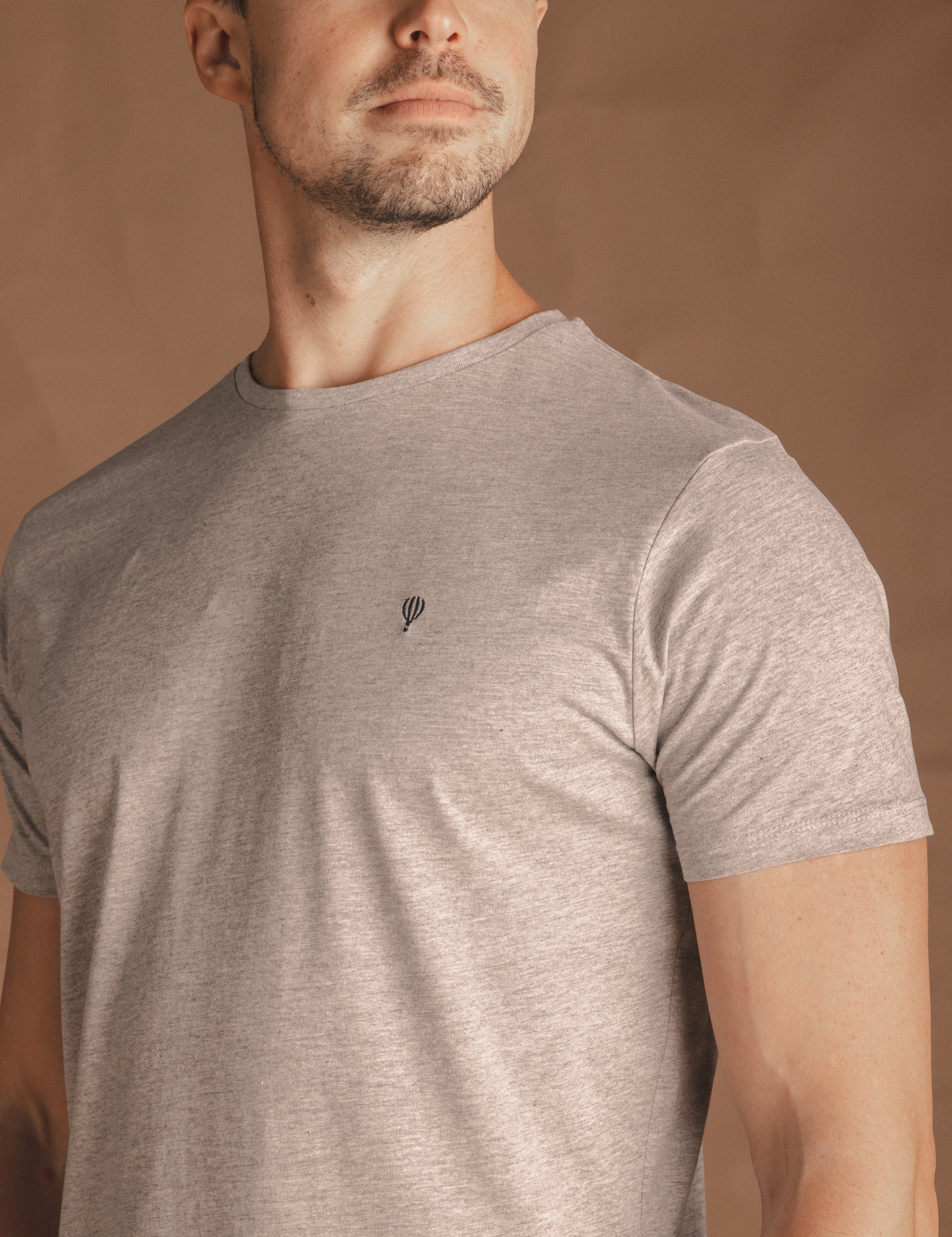 CAMISETA BÁSICA GRÍS